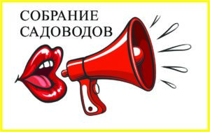 Безымянный-1